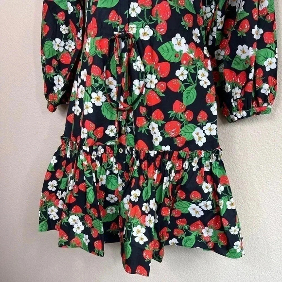 Cara Cara Robin Floral Mini Dress Womens Size XS Wild Black Strawberry - Picture 3 of 12